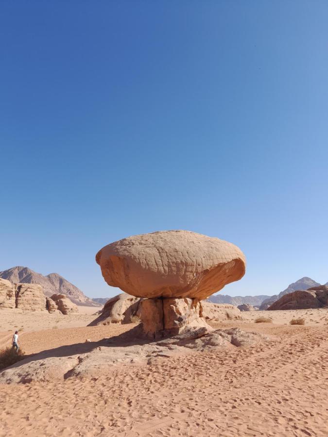 Wadi Rum Camels Camp Exteriör bild