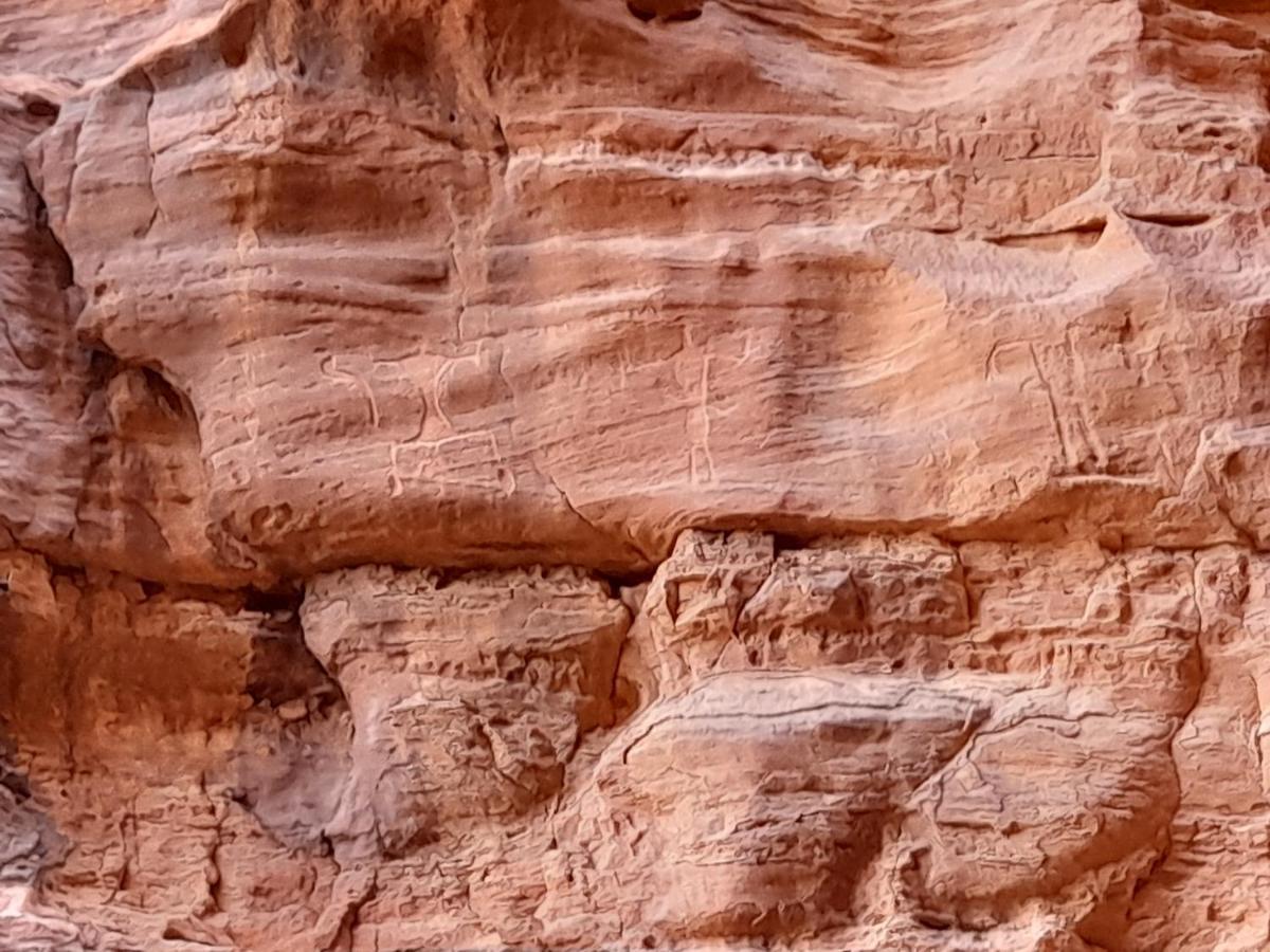 Wadi Rum Camels Camp Exteriör bild